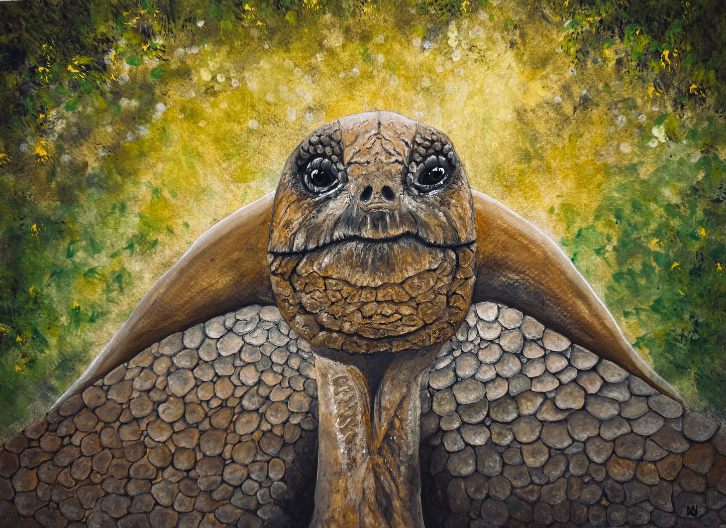 ‘Tommy’ the tortoise original painting artwork
