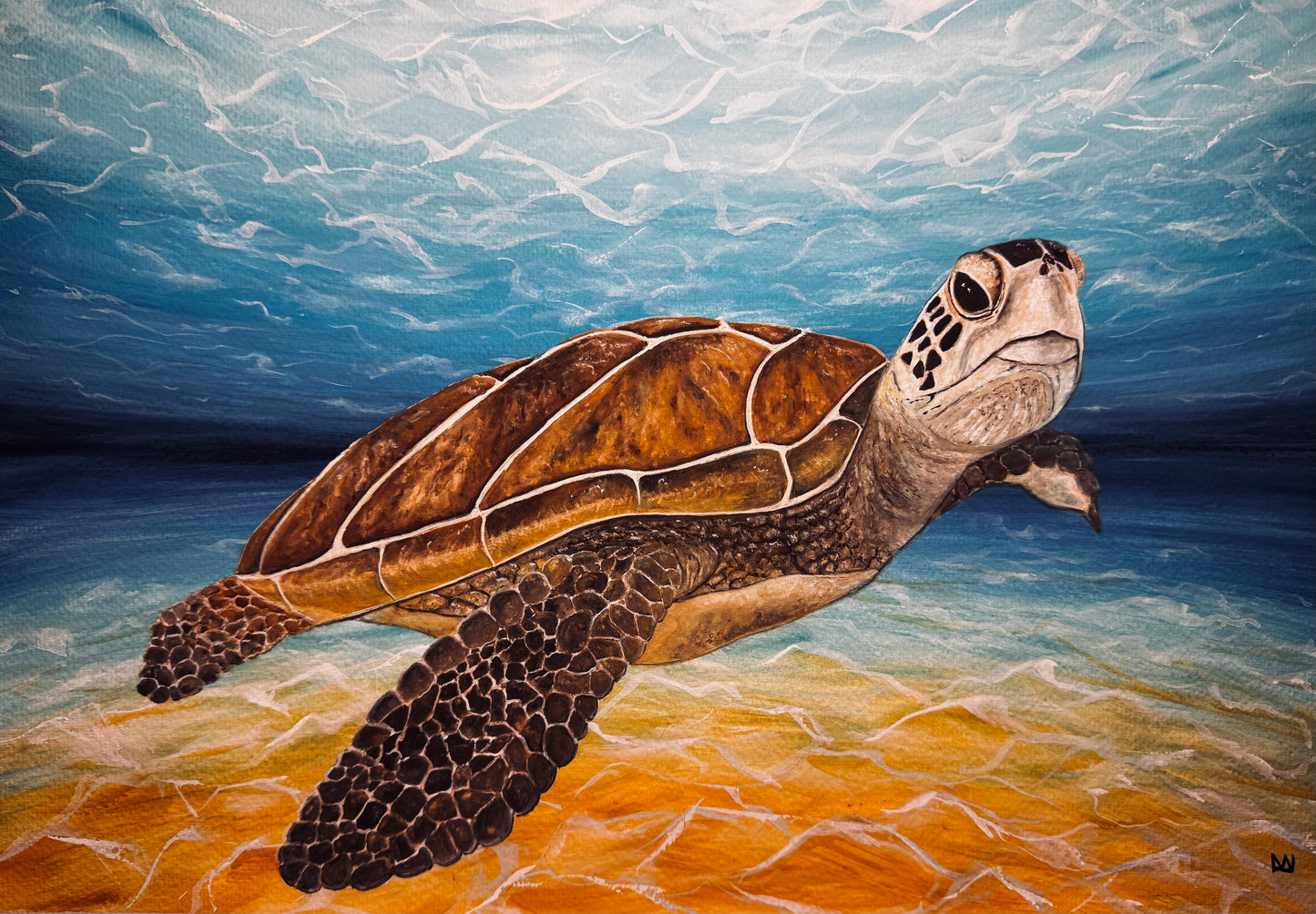‘Terry’ the sea turtle original painting artwork